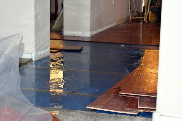 Professional Sewage Cleanup technician working in Apex, NC